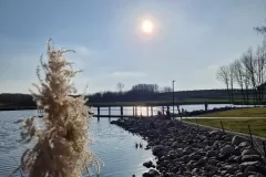 20240229_150240